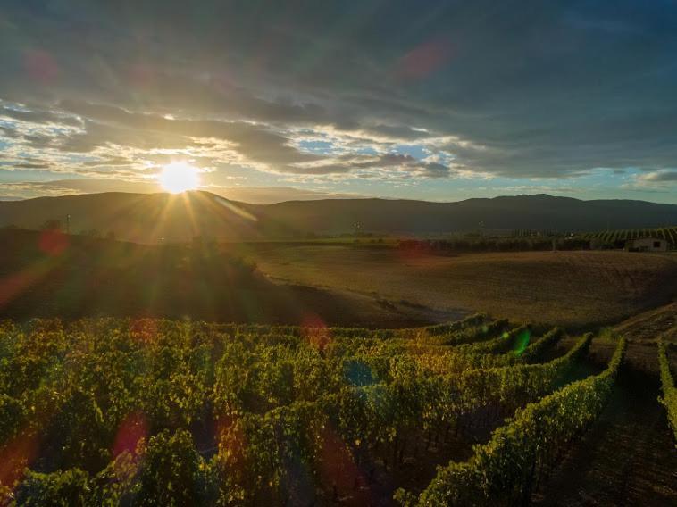 Agriturismo Fusini Magliano in Toscana Exterior foto
