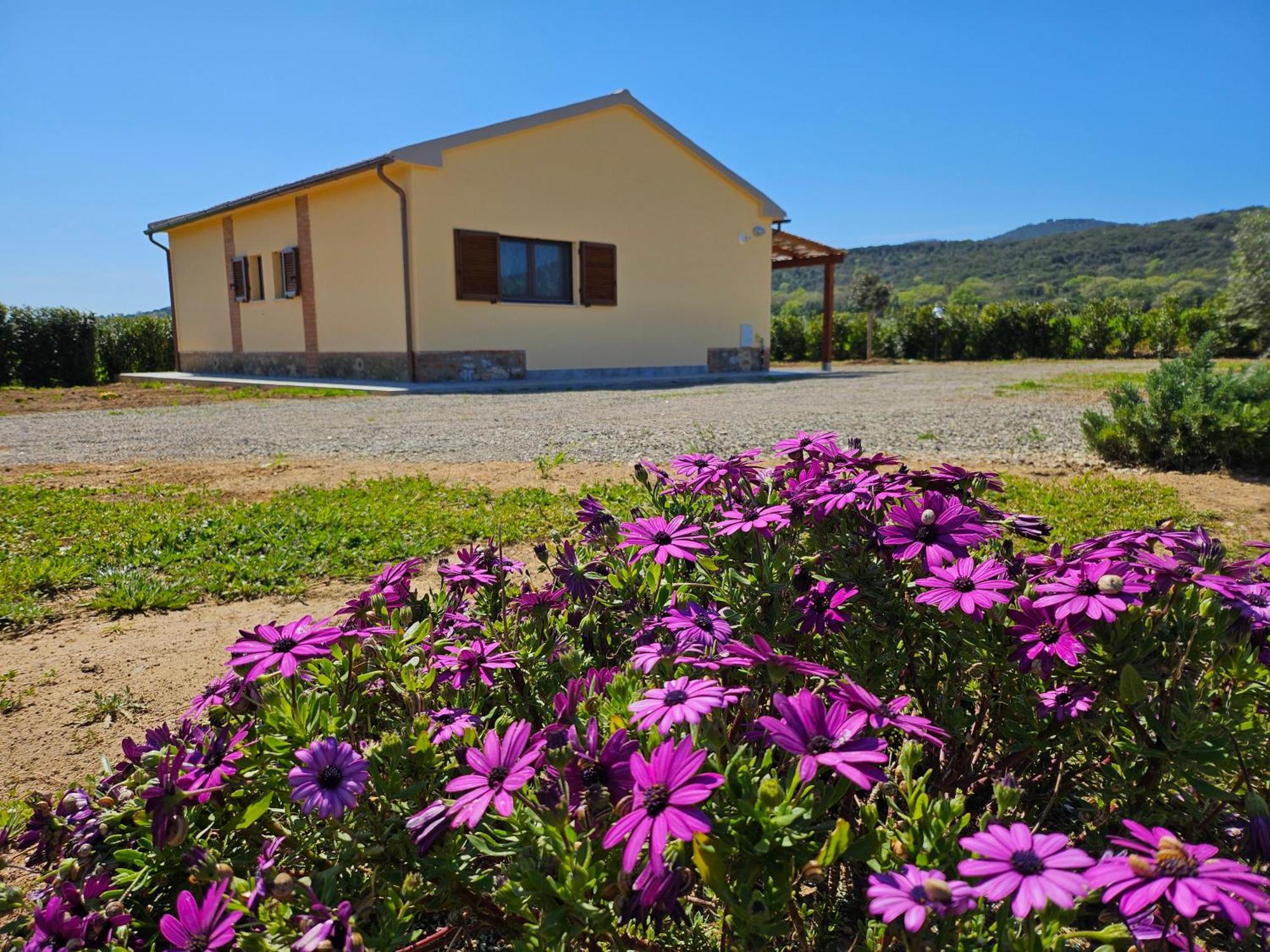 Agriturismo Fusini Magliano in Toscana Exterior foto
